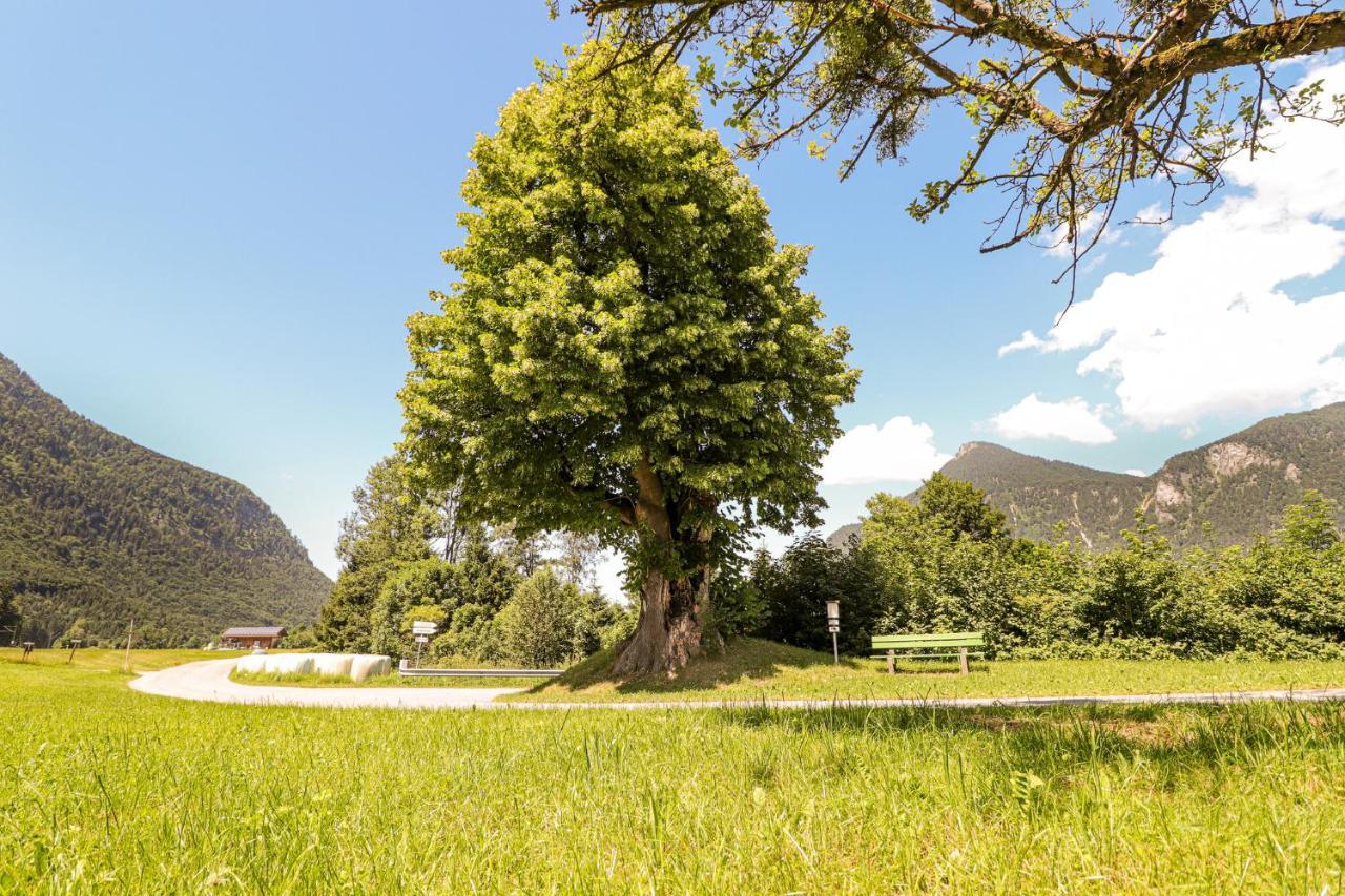 Ferienwohnungen Beim Silbergersee Oberaudorf Exteriör bild